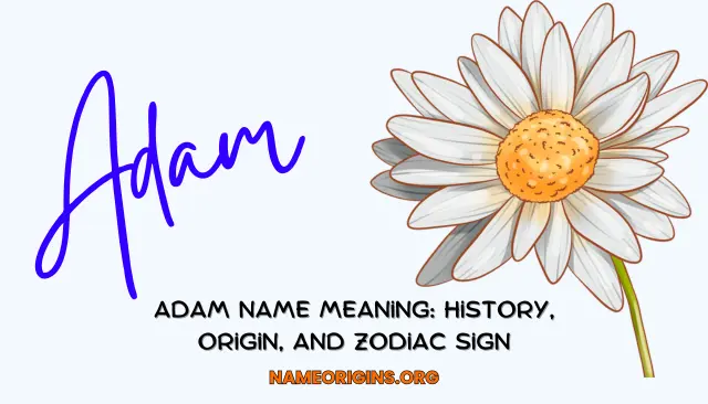 Adam Name Meaning: History, origin, and zodiac sign