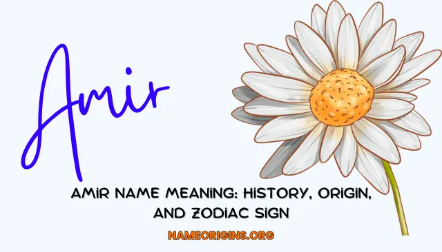 Amir Name Meaning: History, Origin, And Zodiac Sign