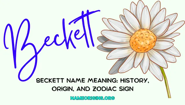 Beckett Name Meaning: History, Origin, And Zodiac Sign